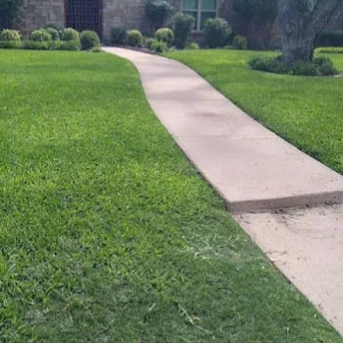 image_2025_05_09T06_42_09_719Z